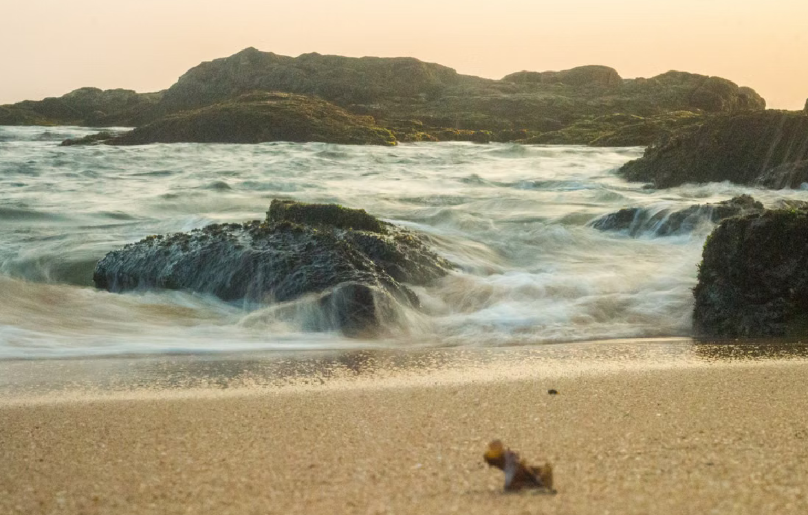 Rocky beach and ocean landscape