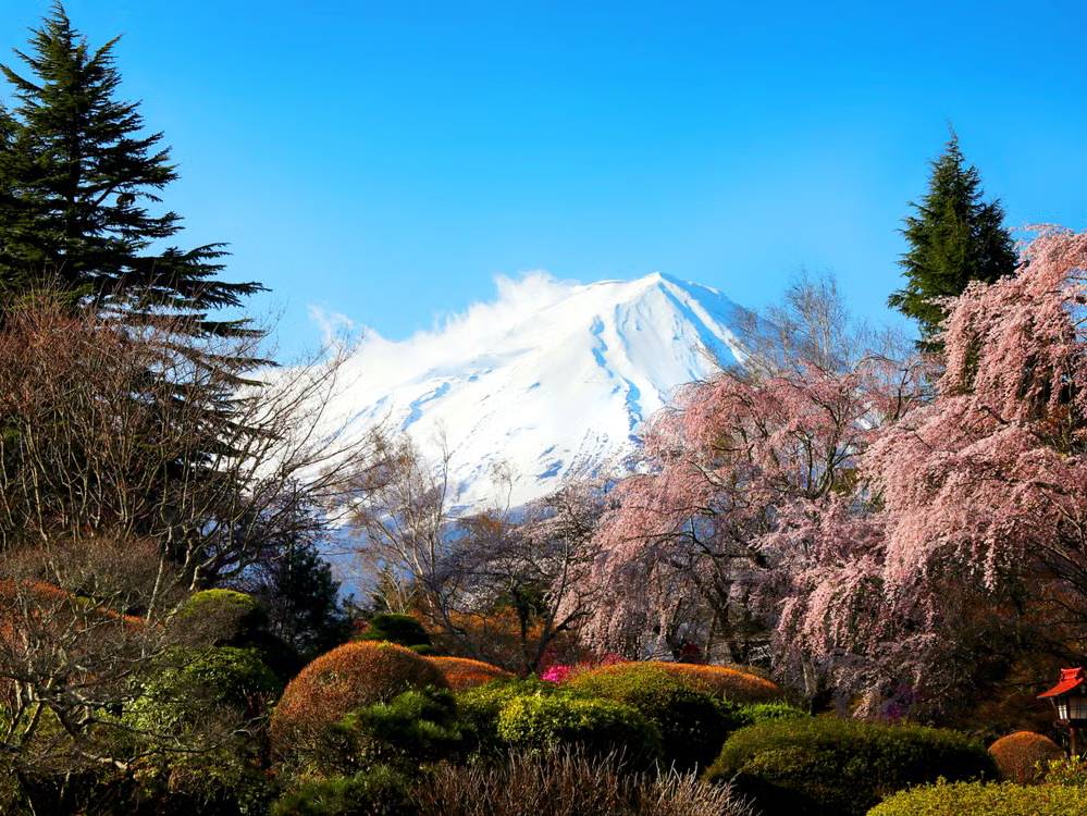 Japan